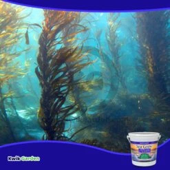 Grow More Sea Grow All Purpose Plant Food Water Soluble 16-16-16 ,25 Lb 11 Grow More Sea Grow All Purpose Plant Food Water Soluble 16-16-16 ,25 Lb -Corona Mix Shop medium 018b2760 2e8f 4299 b314 5345e2b6553c