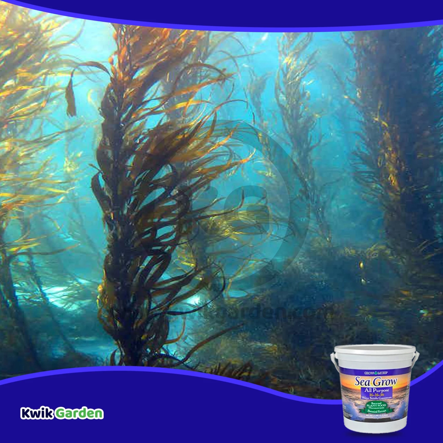 Grow More Sea Grow All Purpose Plant Food Water Soluble 16-16-16 ,25 Lb 6 Grow More Sea Grow All Purpose Plant Food Water Soluble 16-16-16 ,25 Lb - Image 6