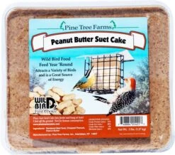 Pine Tree Peanut Butter Suet Seed Cake 3 Lb