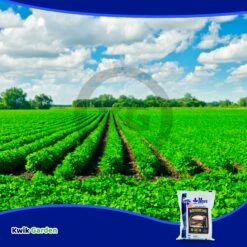 Grow More High Bloom Soluble Fertilizer Concentrate 10-52-10 25Lb 13 Grow More High Bloom Soluble Fertilizer Concentrate 10-52-10 25Lb -Corona Mix Shop medium 0583537b a352 40b9 9be7 54fc2ab4932b