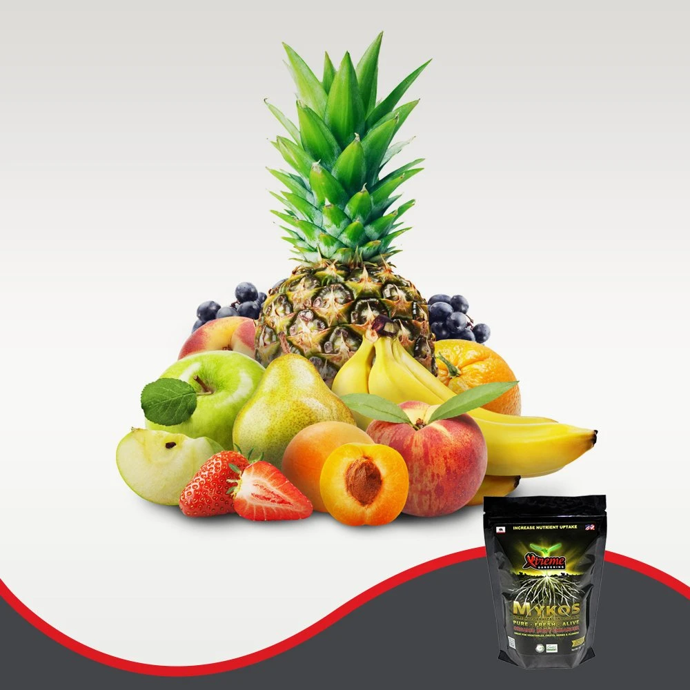 Xtreme Gardening Mykos Pure, Fresh, Alive 1lb 3 Xtreme Gardening Mykos Pure, Fresh, Alive 1lb - Image 3