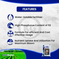 Grow More High Bloom Soluble Fertilizer Concentrate 10-52-10 25Lb 9 Grow More High Bloom Soluble Fertilizer Concentrate 10-52-10 25Lb -Corona Mix Shop medium 4da84e31 d364 4a5d a7c3 54f5389f4fe3