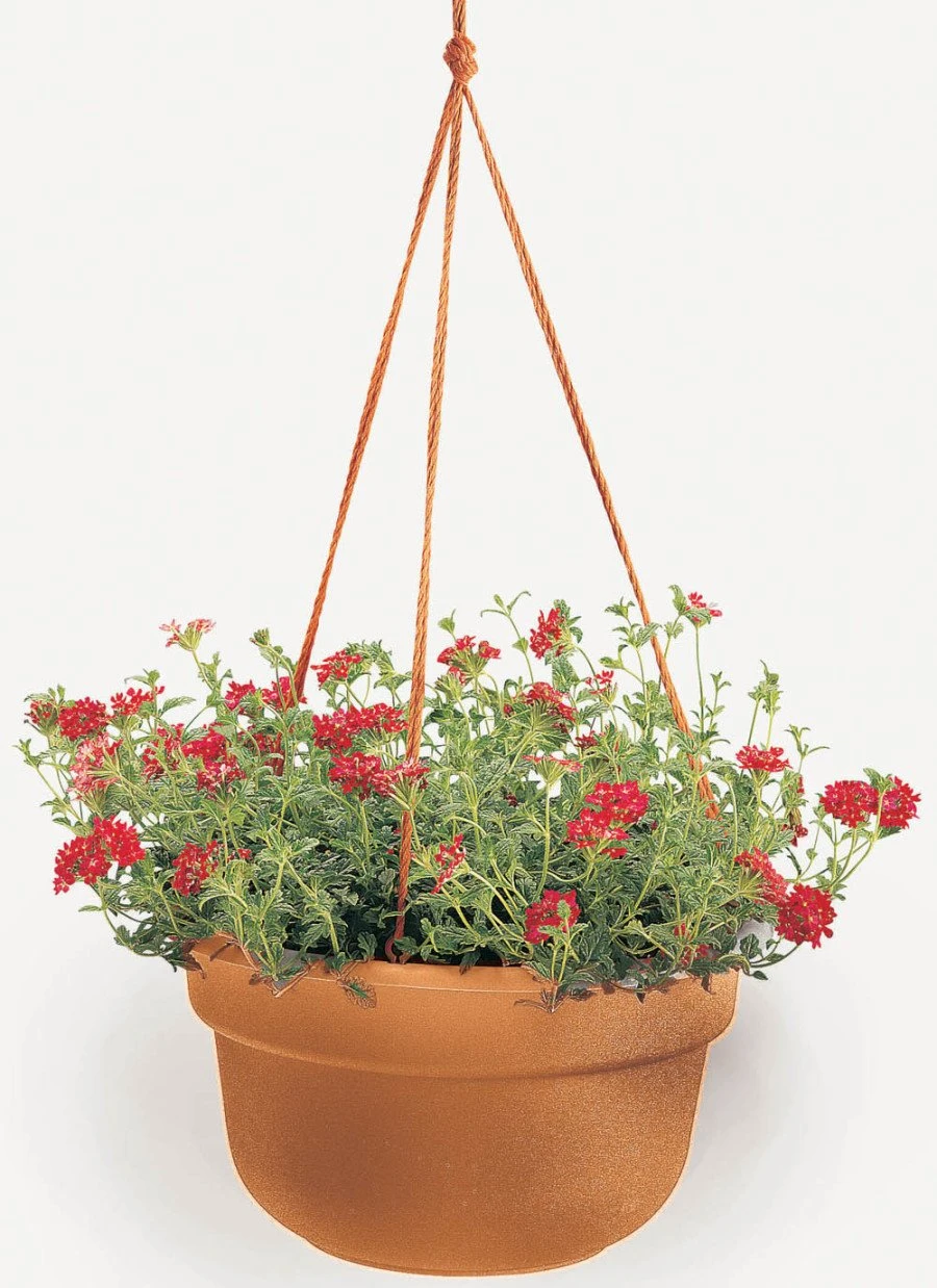 Bloem Dura Cotta Hanging Basket Planter Terra Cotta 12 In 1 Bloem Dura Cotta Hanging Basket Planter Terra Cotta 12 In