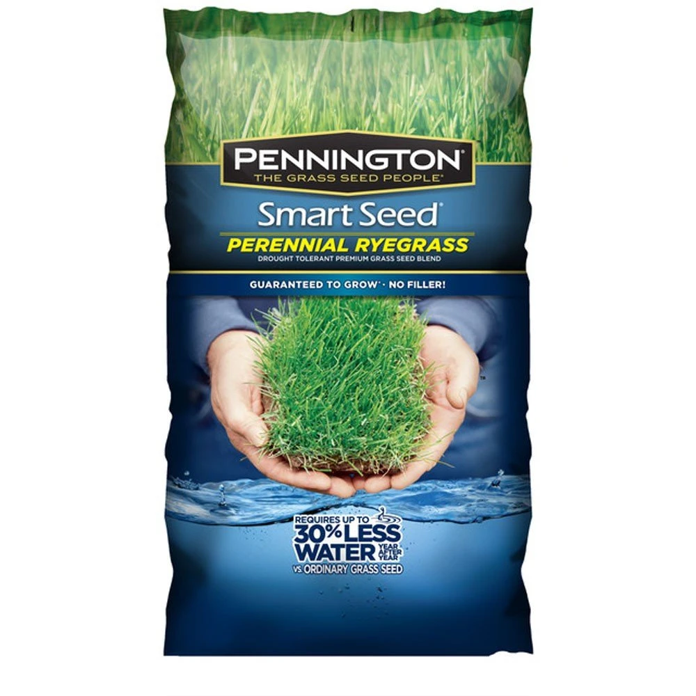 Pennington Smart Seed Perennial Rye Bld Powder Coated 3lb 1 Pennington Smart Seed Perennial Rye Bld Powder Coated 3lb