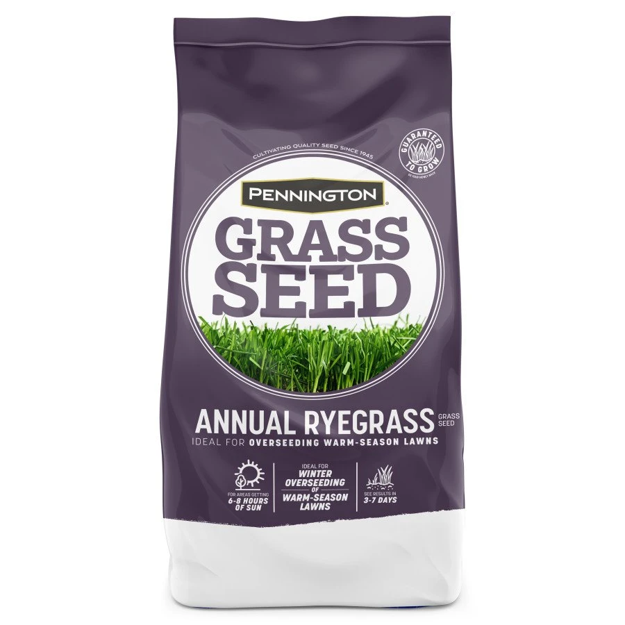 Pennington Annual Ryegrass Grass Seed 25Lb 1 Pennington Annual Ryegrass Grass Seed 25Lb