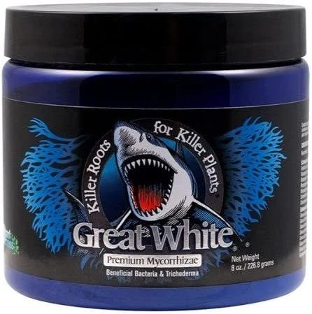 Great White 8oz 1 Great White 8oz