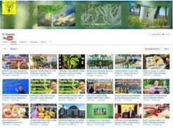 IV Organic White Wash White 1pt 7 IV Organic White Wash White 1pt -Corona Mix Shop medium 7b382399 4aa0 4bc9 86b2 ae6b121add58