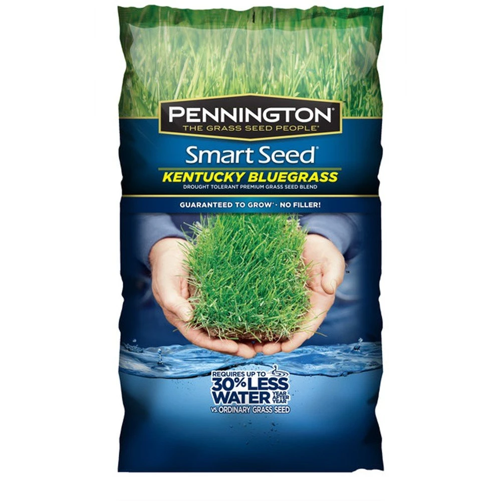 Pennington Smart Seed Kentucky Blue Blend Grass Seed Powder Coated 3lb 1 Pennington Smart Seed Kentucky Blue Blend Grass Seed Powder Coated 3lb