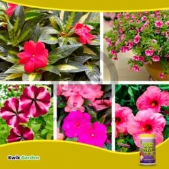 Grow More EDDHA Iron Chelate 6.0% 1lb 13 Grow More EDDHA Iron Chelate 6.0% 1lb -Corona Mix Shop medium c9407e69 23c7 4770 b7e3 8c2912abb1db