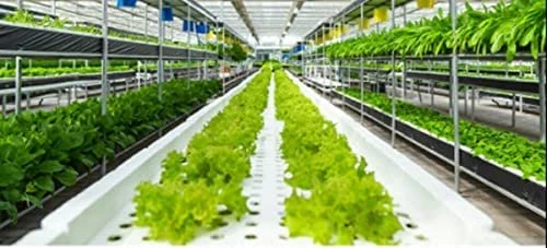 Xtreme Mykos Pure Mycorrhizal Inoculum, Granular, 1 Lb 2 Xtreme Mykos Pure Mycorrhizal Inoculum, Granular, 1 Lb - Image 2